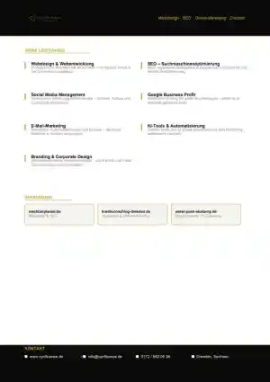 webdesign_dresden_Cynfluence_5.jpg