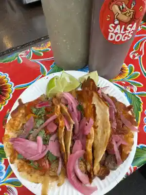 catering_amsterdam_Salsadogs_7.jpg