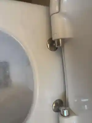 Haushaltsreinigung.jpg