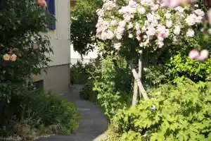 gartner_waldkirch_Elztal_Gartenbau__7.jpg