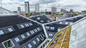 Drone en grond fotografie en video.jpg