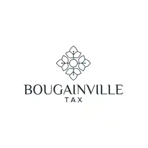 boekhouder_rijswijk_Bougainville_Tax_BV_2.jpg