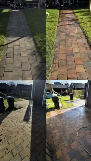 hovenier_paterswolde_De_WaterWonders_3.jpg