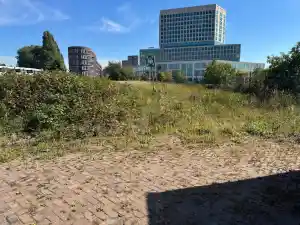boomverzorging_breda_Geniuss_Green_Care_3.jpg