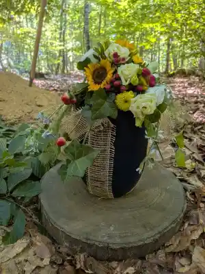 Im Wald die letzte Ruhe finden.jpg