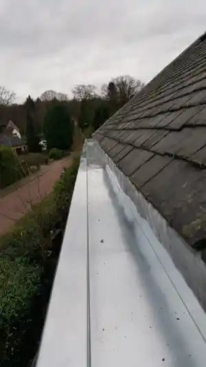 Project in Leiden.jpg