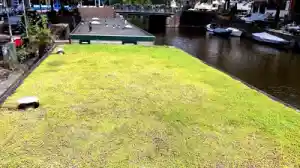Project in Gouda.jpg