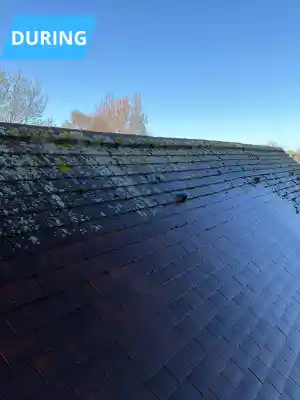 Project in de kijker.jpg
