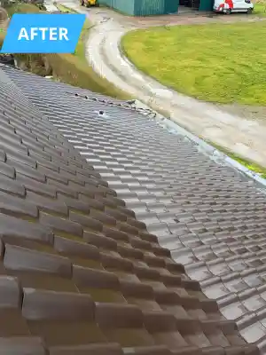 Project in de kijker - Lochristi.jpg