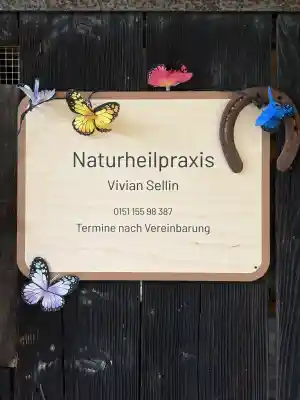 coaching_remagen_Be_the_butterfly_of_your_life_2.jpg