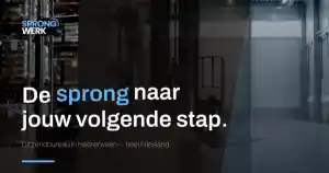 Sprongwerk Uitzendbureau.jpg