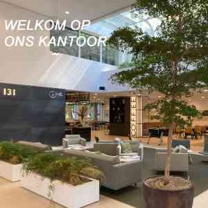 mediator_den-haag_RANDSTAD-MTC_Arbeidsmediators_2.jpg