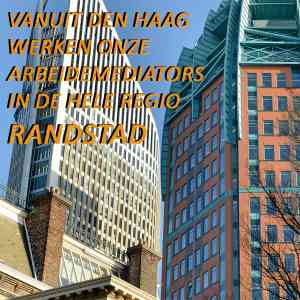 mediator_den-haag_RANDSTAD-MTC_Arbeidsmediators_7.jpg