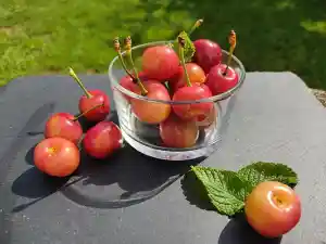 nutricionista_sant-celoni_Iona_Nutrició_6.jpg