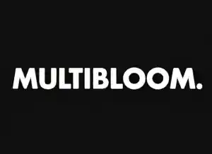 online-marketing_maarssen_Multibloom_Solutions__2.jpg