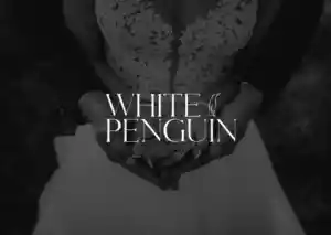 Desarrollo Web White Penguin.jpg