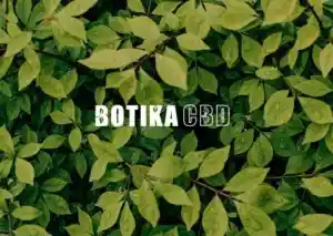 Desarrollo Web Botika CBD.jpg