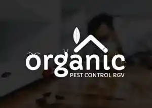 Desarrollo de Software y Apps Organic.jpg