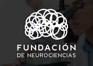 Posicionamiento Seo/SEM Fundación de Neurociencias.jpg
