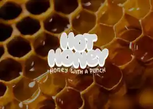 Desarrollo Web Hot Honey.jpg