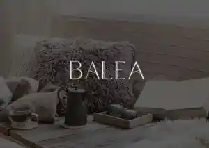 Desarrollo Web  Balea.jpg