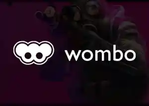 Posicionamiento SEO/SEM Wombo Academy.jpg
