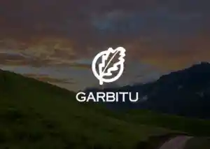 Desarrollo Web  Garbitu.jpg