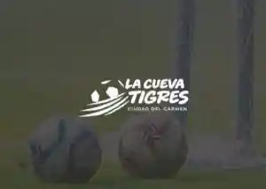 Branding y/o diseño gráfico La Cueva Tigres.jpg