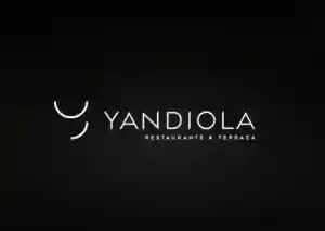 Videos Profesionales Yandiola.jpg