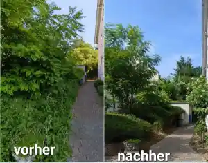 hausmeisterservice_gem%C3%BCnden-am-main_CT_Haus_und_Gebäudedienstleistungen__7.jpg