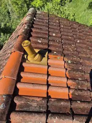 Dachreinigung.jpg