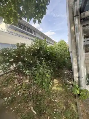 Gartenarbeit .jpg