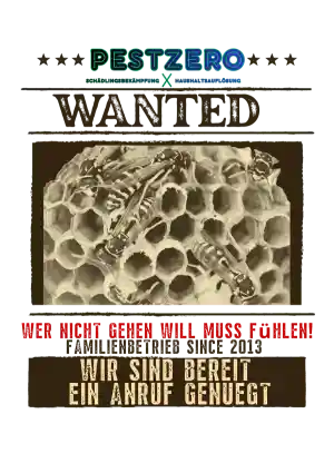 kammerjager_d%C3%BCsseldorf_Pestzero_4.jpg