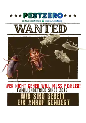 kammerjager_d%C3%BCsseldorf_Pestzero_6.jpg