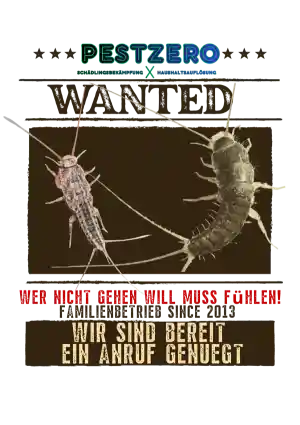 kammerjager_d%C3%BCsseldorf_Pestzero_5.jpg