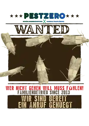 kammerjager_d%C3%BCsseldorf_Pestzero_4.jpg
