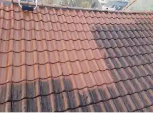 schoonmaakbedrijf_lierde_DCO_Exterior_Care_4.jpg