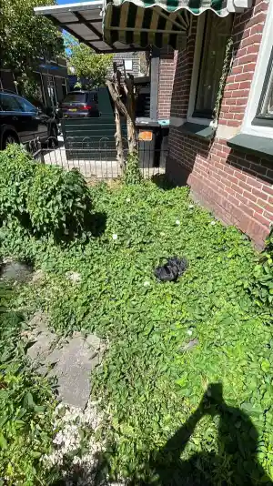 stratenmaker_krommenie_Tuinie_5.jpg