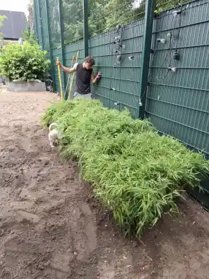 klusjesman_zwevegem_MD_services_en_onderhoud_2.jpg