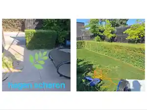 klusjesman_zwevegem_MD_services_en_onderhoud_2.jpg