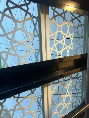 Reiniging metalen puien Avicenna College.jpg
