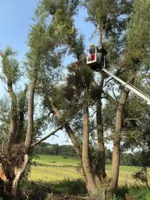 gartner_beutel_Garten_und_Forstservice._Beversdorf__2.jpg