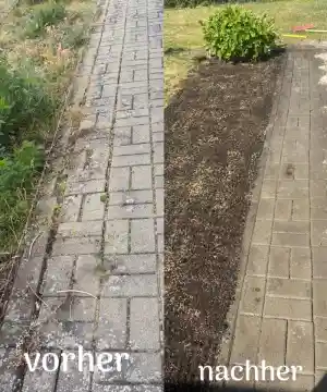 gartner_beutel_Garten_und_Forstservice._Beversdorf__5.jpg