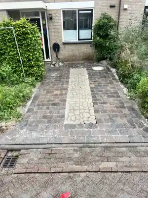 hovenier_gouda_Vollebregt_Hoveniers._3.jpg