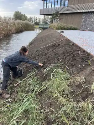 hovenier_gouda_Vollebregt_Hoveniers._4.jpg