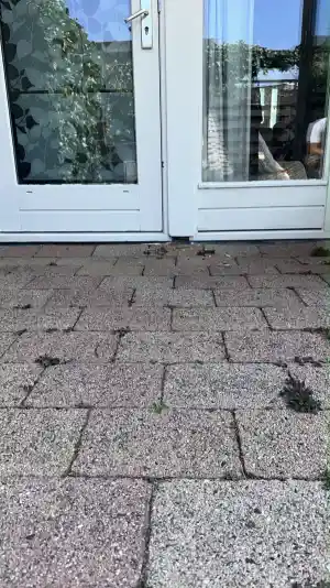 Houtrot reparatie.jpg