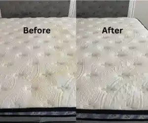 schoonmaakbedrijf_baarn_AnyClean_7.jpg