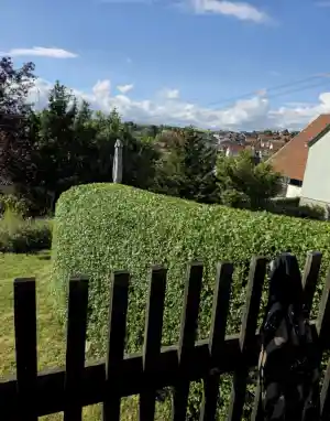 gartner_wertheim_Grün_und_Sauber_Gartenpflege__3.jpg