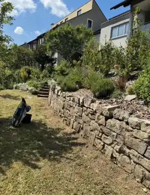gartner_wertheim_Grün_und_Sauber_Gartenpflege__5.jpg