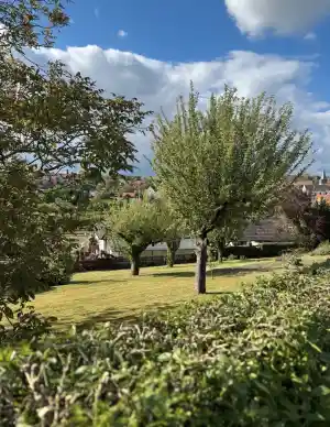 gartner_wertheim_Grün_und_Sauber_Gartenpflege__7.jpg